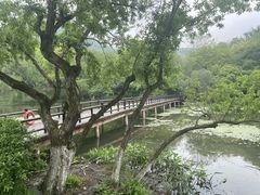 -八卦田遗址公园