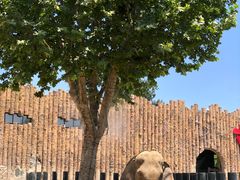 -济南野生动物世界