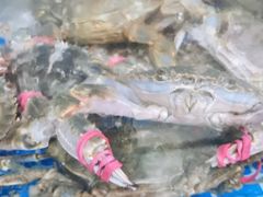 -宾朋海鲜特色美食餐厅·纯手工鲅鱼水饺(兴海路店)