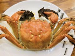 -品鲜村农家菜·阳澄湖大闸蟹(总店)