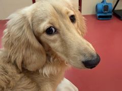 -和它·交个朋友·狗咖猫咖(爱琴海店)