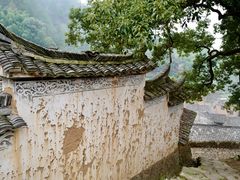 -杨家堂村