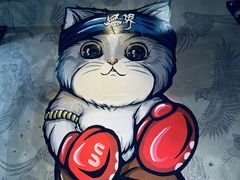 -燃无界格斗·拳击搏击体能馆(优品道店)
