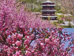 -石岛赤山风景区
