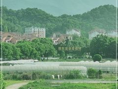-庐山西海国际温泉度假村