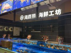 -海底捞火锅(长宁路龙之梦店)