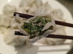 茴香大肉饺子-军嫂饺子馆(岳家寨小区店)