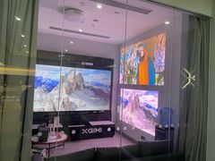 -XGIMI极米投影(壹方城店)