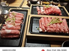-东方福来德
