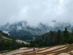 -紫鹊界梯田景区