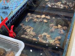 -天盛海鲜烧烤大排档·本地小海鲜·牟平腿穗子(幸福店)
