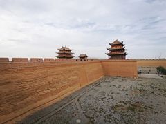 -金塔沙漠胡杨林景区