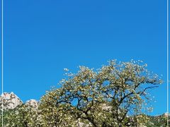 -北京凤凰岭