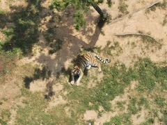 -西霞口神雕山野生动物世界