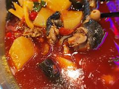 -晓彭肥肠鸡·泡椒鸡火锅(水木天地店)