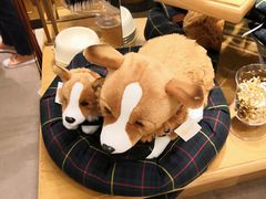 -温莎城堡