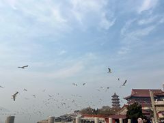 -八仙过海景区