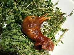 -蔡澜点心·粤菜(丽泽天街店)