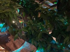 -海岛八号龙虾烧烤田鸡(蓝天路总店)