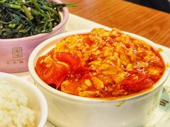 番茄炒蛋-66梧桐院·天平邻里汇(乌鲁木齐南路店)