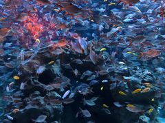 -成都浩海立方海洋公园