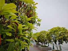 -灞河西岸滨河公园