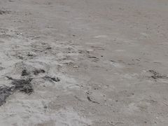 -北戴河东海水浴场
