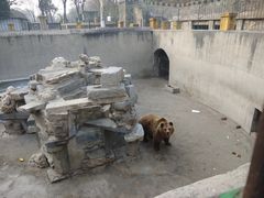 -保定市动物园