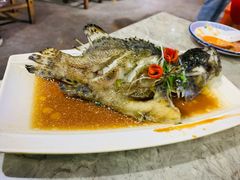 石斑鱼清蒸-四川小胡子海鲜(丁村万人海鲜广场店)