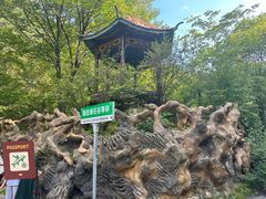 -本溪汤沟绿石谷森林公园