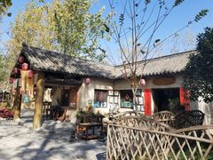 -合肥滨湖国家森林公园