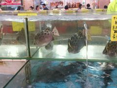 -花好悦园(瀛洲店)