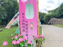 -荷塘月色湿地公园·向阳花洲