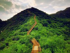 -大岭沟猕猴桃谷风景区