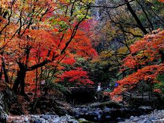 -本溪老边沟风景区