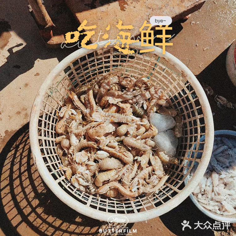 湉湉“秋日”出海 | 塘沽出海打鱼的绝佳地点