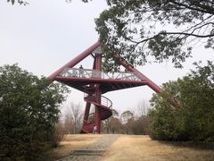 -贡湖湾湿地公园