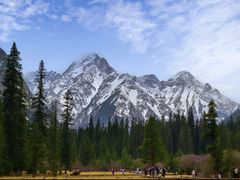 -白马王朗自然风景区