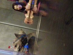 -世代星球·保龄球·镭战真人CS·团建(杨浦店)
