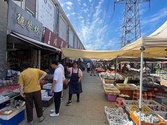 -中环花鸟鱼虫市场