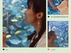 -成都浩海立方海洋公园