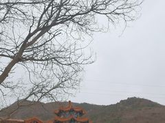 -北京十三陵国家森林公园蟒山景区