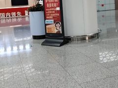 -青岛胶东国际机场