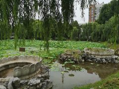-堤角公园