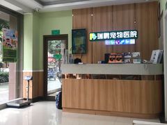 -瑞鹏宠物医院·夜间急症·心超·猫科(祖庙分店)