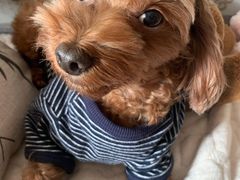 -弄堂里(雨花客厅店)