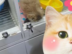 -乐宠宠物店(世纪金源店)