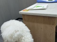 -半岛宠物医院24小时(西派城店)