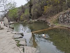 -云丘山景区