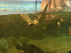 -福州罗源湾海洋世界旅游区